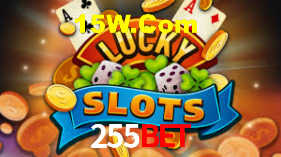 Premium Interface 255BET